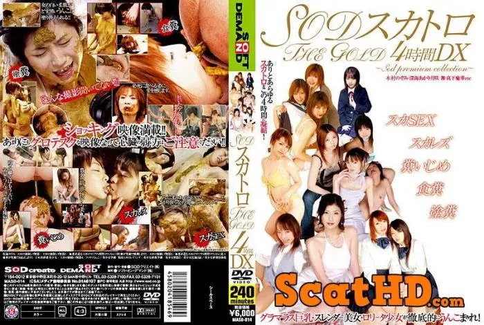 Nozomi Kimura - THE GOLD DX scatology SOD for 4 hours [DVDRip / 3.94 GB]