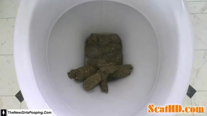 ShitGirl - Toilet Destroyed In 5 Mins [FullHD 1080p / 471 MB]