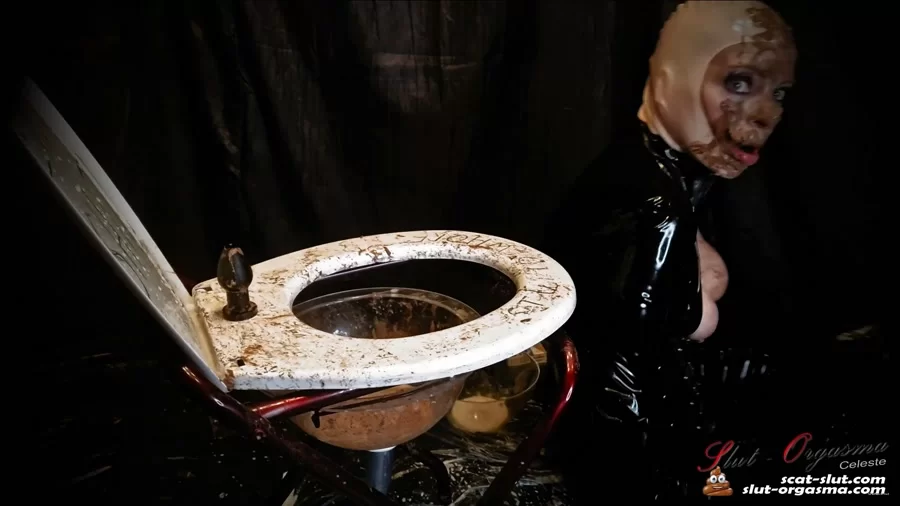 Toilet Slavery: (SlutOrgasma) - Extreme shit and puke swallowing toilet slave [FullHD 1080p] (1.82 GB)