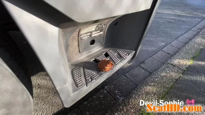 Devil Sophie - OMG - how does the shit get onto the truck running board [UltraHD 4K / 338 MB]