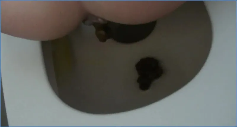 KV as Desired on the Toilet - Maria Devot, Pissing, Nylon - scat porn video at ScatSlave.net