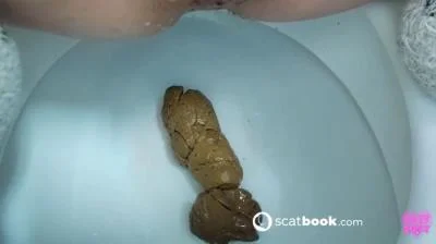 Scatbook: (The Constipation Diaries) - BIG LOG with gaping asshole Part 3 [HD 720p] (Amateur, Solo)