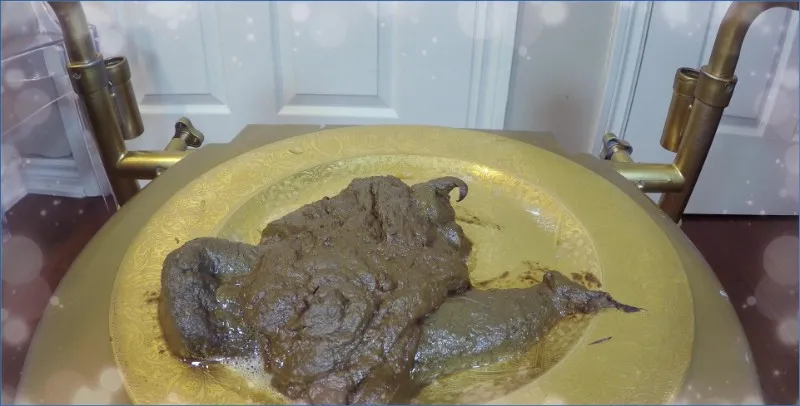 Love Rachelle's Devour The Shit From My Goddess Ass 4, USA - scat porn video at ScatSlave.net