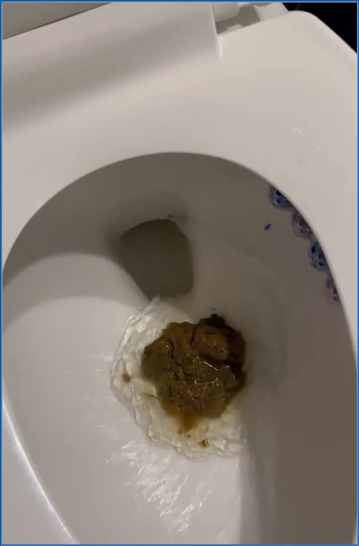 Kaitlyn's Depraved Scatological - Holy fuck lol HD 720p - scat porn video at ScatSlave.net