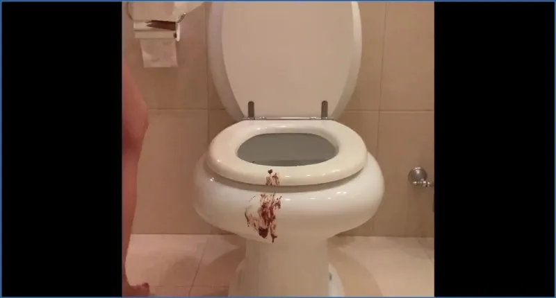 Mistress Lily's Shitty Toilet in Hotel, Solo Domination - scat porn video at ScatSlave.net