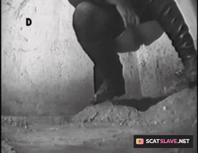 Scathd (WC) - Shit Compilation 005 [SD] (Scat, Voyeur)