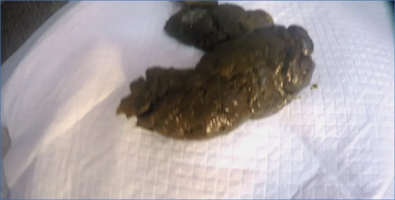 LoveRachelle2 - Pushing 3 Hard Turds (Scat-Shop) - Love Rachelle - scat porn video at ScatSlave.net