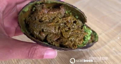 ScatBook: (Ella Dearest) - AVOCADO REFILL [FullHD 1080p] (Eat Shit, Pissing)