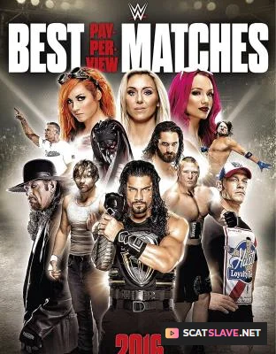 WWE: Best PPV Matches of 2016 (2017) [FullHD 1080p / MILFs, German]