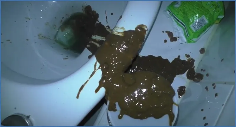 A Diarrhea Everywhere, Peeing, Farting, Smearing - scat porn video at ScatSlave.net