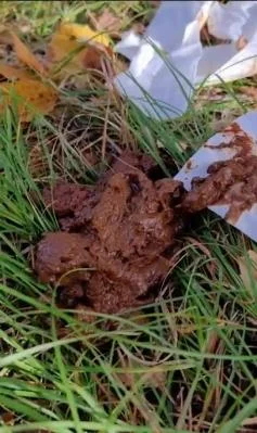 I eat someone elses shit in the woods [SD / Piss, Eat shit]