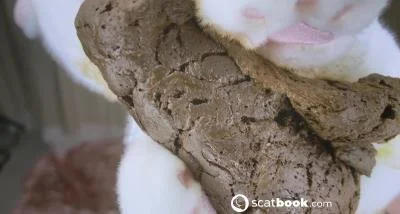 Tea Party and the Sweets [FullHD 1080p / Scat, 2024]