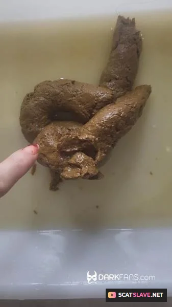 DarkFans.com: (Domina Marbella) - Toilet Pov - Hoy He Hecho Este Delicioso Pastel De Mierda [UltraHD 2K] (66.2 MB)