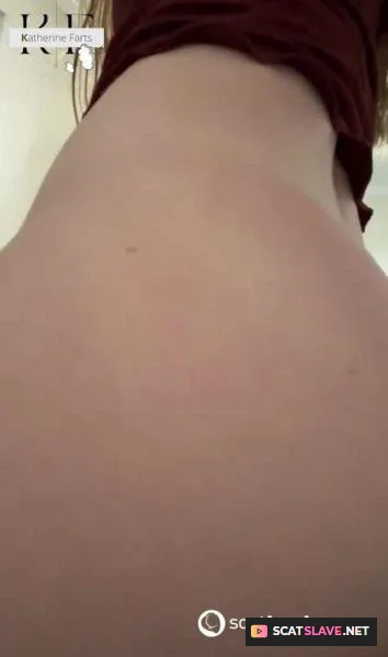 Farting nasty on his mouth [HD 720p / 49.69 MB]