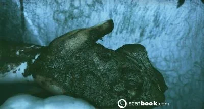 I CAN touch YOU with IT! [HD 720p / Fisting, Anal]
