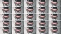 Filthygrid (Mia Skye aka MiaRoxxx) - Oldskool Toilet Shit [HD 720p] (5.18 MB) - ScatSlave