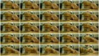 TheNewGirlsPooping (Efro Sabrina) - Scat Cute Sabrina 4 [HD 720p] (17.0 MB) - ScatSlave