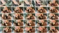 Scatbook (Foxness) - Learning To Eat Daddy's Poo [HD 720p] (309 MB) - ScatSlave