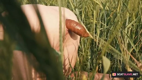 Filthygrid (Mia Skye aka MiaRoxxx) - Doggystyle Shit In a Field [HD 720p] (36.0 MB)