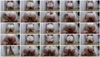 ScatShop: (Bonya (aka Margo)) - Stinky Loud Fart And Panty Poop [FullHD 1080p] (1.74 GB) - ScatSlave