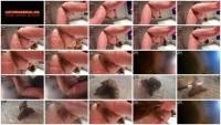 Femscat (Lady Tsunam) - Shit On Your Face [FullHD 1080p] (500 MB) - ScatSlave