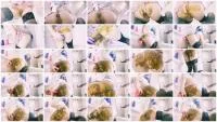 Scatting: (KnkyKttn97) - Catching it for you [FullHD 1080p] (1.33 GB) - ScatSlave