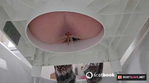 Scatbook (Miss Lith) - Pooping After 2 Days Without Doing It [HD 720p] (60.4 MB)
