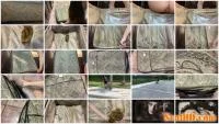 Marinayam19 - Shit in suitcase, dragged around town! [FullHD 1080p / 1.01 GB] - ScatSlave