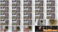 PooGirlSofia - Talking on the toilet whilst shitting [FullHD 1080p / 735 MB] - ScatSlave