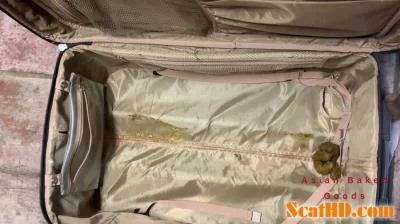 Marinayam19 - Shit in suitcase, dragged around town! [FullHD 1080p / Efro, Poop]