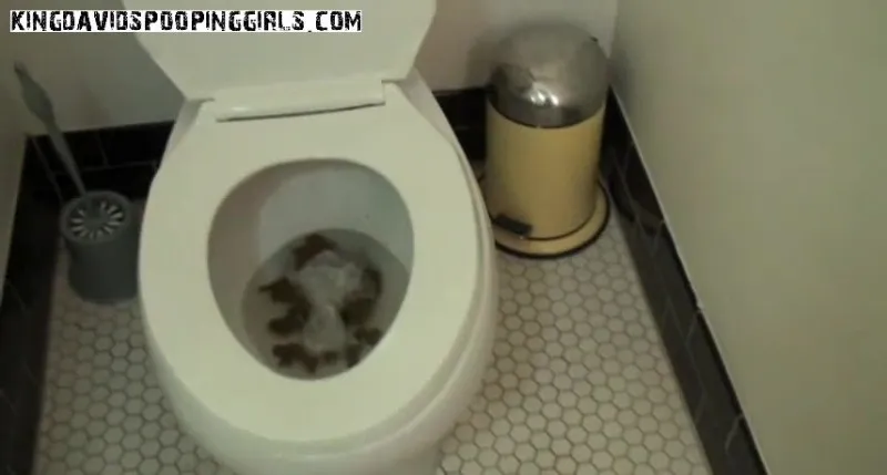 Drew Huge Toilet Poop! - Alina, Piss, Mucky Filth - scat porn video at ScatSlave.net