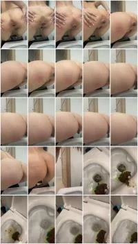 Scatbook (Mistress Jardena) - Daily portion of shit for my bitches [SD] (12.2 MB) - ScatSlave