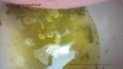 Scatshop: (Sexy Flatulence) - Diarrhea In The Toilet [FullHD 1080p] (Defecation, Milf)