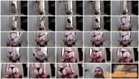 ElenaToilet - Humiliating Looser to Eat My Shit [FullHD 1080p / 1.65 GB] - ScatSlave