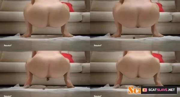 NatashaF - I shit on my dog's mat! [HD 720p / 3.95 MB]