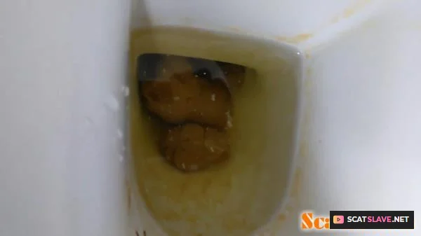 PooGirlSofia - Talking on the toilet whilst shitting [FullHD 1080p / 735 MB]