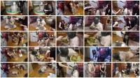Femdom: (Natalia Kapretti) - Today Your Dinner – Shit, Pig Snout, Toilet [SD] (1.83 GB) - ScatSlave