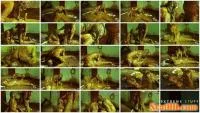 Betty - Betty and Frankys Cowshit Adventure. [FullHD 1080p / 2.00 GB] - ScatSlave