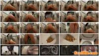 AinaraX - Big Load in the WC [FullHD 1080p / 417 MB] - ScatSlave