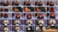 Solo - Teddy Bear My Toilet [FullHD 1080p / 801 MB] - ScatSlave