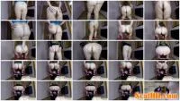 Mistress Annalise - Our personal human toilet [FullHD 1080p / 526 MB] - ScatSlave