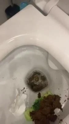 Scatbook (Mistress Jardena) - Daily portion of shit for my bitches [SD] (Kaviar, Scat)
