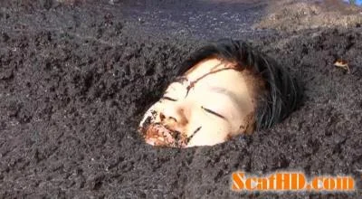 JAV - Cow shit Vol.02 [DVDRip / Solo, Mud]