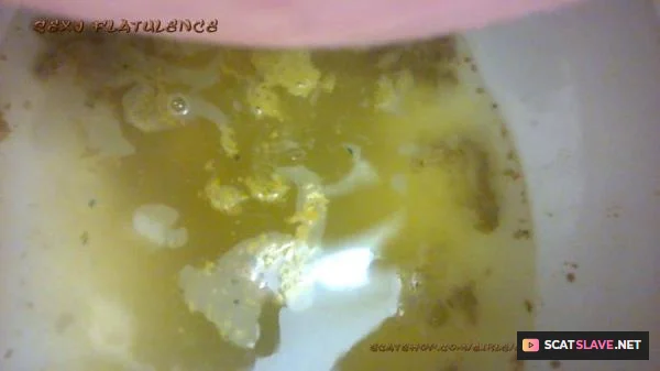 Scatshop: (Sexy Flatulence) - Diarrhea In The Toilet [FullHD 1080p] (365 MB)