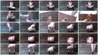 Scatshop: (Spankmepink aka Tilly Farts) - Copy Of Outdoor [FullHD 1080p] (283 MB) - ScatSlave