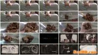 Amateur - Poop 13 [FullHD 1080p / 253 MB] - ScatSlave