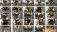 ChubbiBunni - Happy and Smeary [HD 720p / 237 MB] - ScatSlave