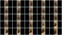 Laylaleescat (Layla Lee) - Gassy Diarrhea [FullHD 1080p] (237 MB) - ScatSlave