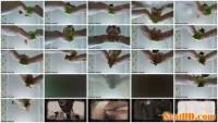 NaughtyPuma - Eat my cookie [FullHD 1080p / 369 MB] - ScatSlave