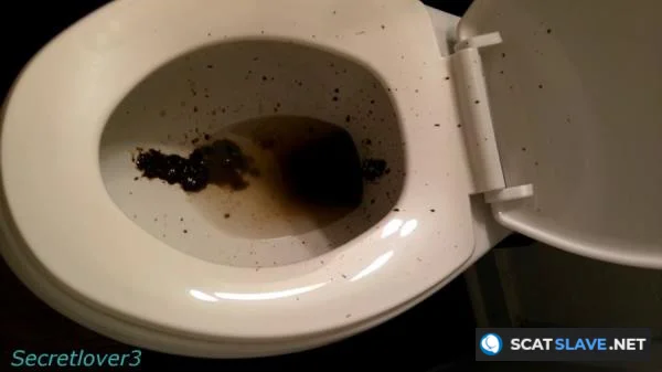 Scatshop: (Sorsha aka Secretlover3) - Toilet Spray [FullHD 1080p] (568 MB)